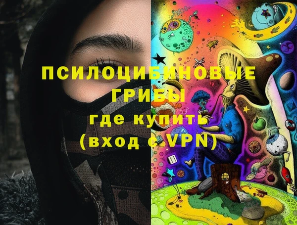 шишки Магадан