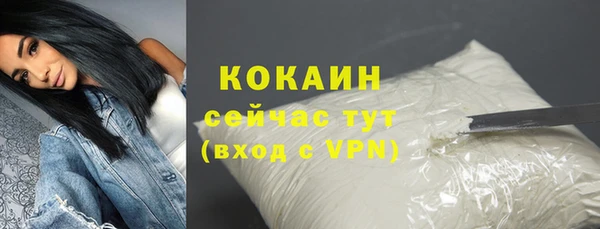 шишки Магадан