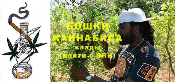 шишки Магадан
