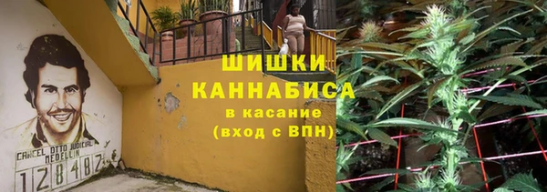 эйфоретик Магас