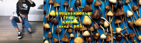 шишки Магадан